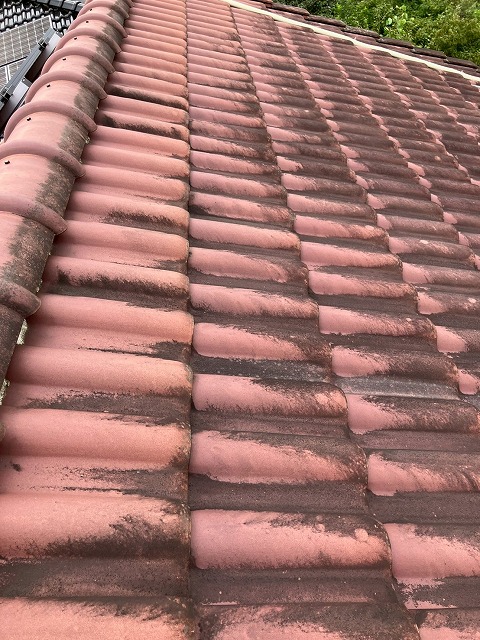 苔で汚れたた屋根